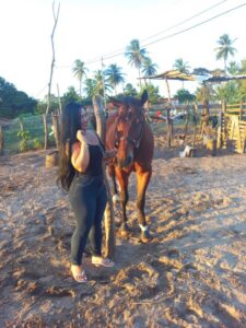 Fazendeira mineira 20 Cavalo